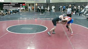 121 lbs Quarterfinals (8 Team) - Meison Tollefson, Decorah vs Anthony Gray, Wellington