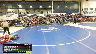 125 lbs Champ. Round 1 - Esteban Delgado, Harper College vs Cameron Phillips, North Central College