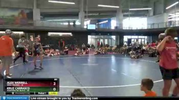 80 lbs Placement Matches (16 Team) - Kruz Carrasco, Assassins WC Black vs Alex Werrell, Well Trained