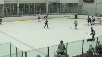 Replay: Home - 2024 Mon. Knights U16 vs Niagara U16 | Jan 20 @ 3 PM