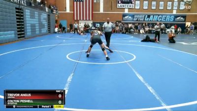 138 lbs Quarterfinal - Colton Peshell, Riverton vs Trevor Angus, Uintah