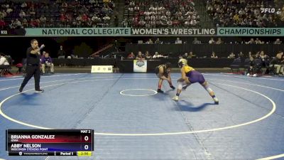 116 lbs Quarterfinal - Brianna Gonzalez, Iowa vs Abby Nelson, Wisconsin Stevens Point