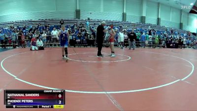 92 lbs Champ. Round 1 - Nathanial Sanders, IN vs Phoenix Peters, OH