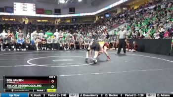 138 lbs Semis - Trevor Oberbroeckling, 1-Southeast Polk vs Ben Hansen, 4-Ankeny