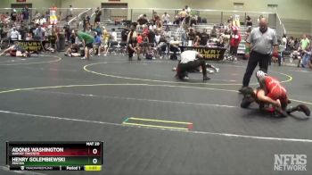 91 lbs Quarterfinal - Adonis Washington, Harvey Twistets vs Henry Golembiewski, Fenton