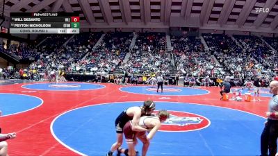 132-6A Cons. Round 2 - Peyton Nicholson, Etowah vs Will DeSanto, Hillgrove