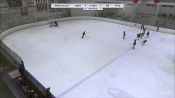 Replay: Home - 2023 Royals U10 vs Flyers Cardillo U | Nov 11 @ 6 PM