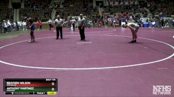 132 lbs Cons. Round 3 - Anthony Martinez, Fairhope vs Brayden Wilson, Opelika Hs