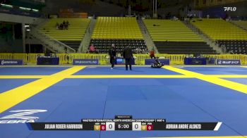 Julian Roger Harrison vs Adrian Andre Alonzo 2026 Master International IBJJF Jiu-Jitsu North American Championship