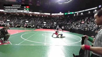 132 lbs Champ. Round 2 - Kayden Wellman, ARC3 vs Colton Schoolcraft, BEA2