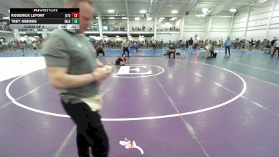 77 lbs Consi Of 4 - Roderick LeFort, Litchfield vs Trey Mendes, Falcons Youth Wrestling