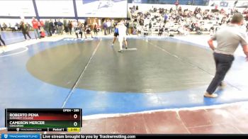 285 lbs Cons. Round 3 - Cameron Mercer, Concordia vs Roberto Pena, Elmhurst College