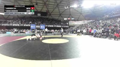 Boys 4A 132 lbs Champ. Round 2 - Andrew Cai, Newport (Bellevue) vs Jesse Denson, Sunnyside