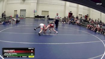 95 lbs Round 5 (6 Team) - Gavin Hoeft, Minnesota Gold vs Jack Mulvahill, Team Oregon