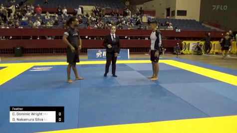 Christopher Dominic Wright vs Daniel Nakamura Silva 2024 Pan IBJJF Jiu-Jitsu No-Gi Championship