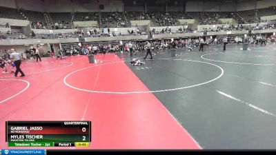 65 lbs Quarterfinal - Myles Tischer, Mauston TALONS vs Gabriel Jasso, No Nonsense