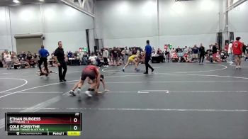 113 lbs Semis (4 Team) - Ethan Burgess, Gettysburg vs Cole Forsythe, Steller Trained Black Sun