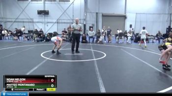 72 lbs Semis (4 Team) - Noah Nelson, Xtreme Team vs Matteo Montanaro, Attack