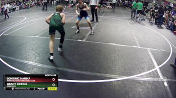 112 lbs Cons. Round 2 - Grady Licking, Nebraska vs Domonic Hanika, Nebraska City Wrestling Club