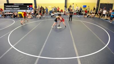 132 lbs Quarters - Logan Schwanz, MN vs Mitchell Murphy, IA