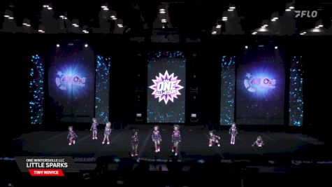 ONE Wintersville LLC - Little Sparks [2026 Tiny Novice Day 1] 2026 The All Out Grand Nationals