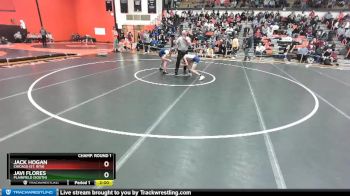 106 lbs Champ. Round 1 - Javi Flores, Plainfield (SOUTH) vs Jack Hogan, Chicago (ST. RITA)