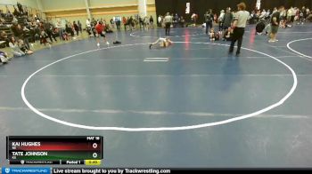 59 lbs Semifinal - Kai Hughes, NE vs Tate Johnson, KS