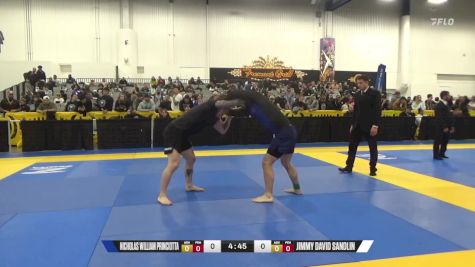 Jimmy David Sandlin vs Nicholas William Princiotta 2024 World IBJJF Jiu-Jitsu No-Gi Championship