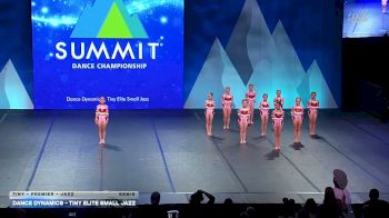 Dance Dynamics - Tiny Elite Small Jazz [2026 Tiny - Premier - Jazz Semis] 2026 The Dance Summit
