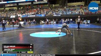 125 lbs Prelim Round 1 - Dylan Sheler, Newman vs Trevon Gray, Pitt-Johnstown