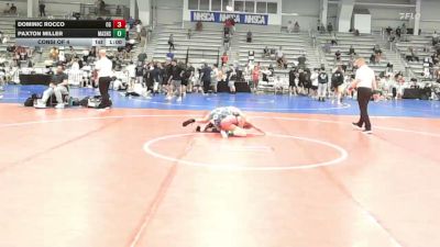 85 lbs Consi Of 4 - Dominic Rocco, OHIO GOLD - MS vs Paxton Miller, Mat Assassins Black - MS