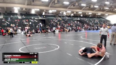 197 lbs Cons. Round 3 - Jacob Awiszus, Nebraska-Kearney vs Dominic Thebeau, Nebraska