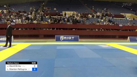 Joshua David Birley vs Lars Stanton Pettygrove 2024 Pan IBJJF Jiu-Jitsu No-Gi Championship