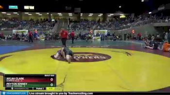 110 lbs Quarterfinal - Aylah Clark, Klamath Falls vs Peyton Kinney, Rock Of Redmond