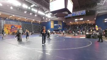 113 lbs Champ. Round 3 - Michael Santos, West Springfield vs Paden Alyea, Skyline