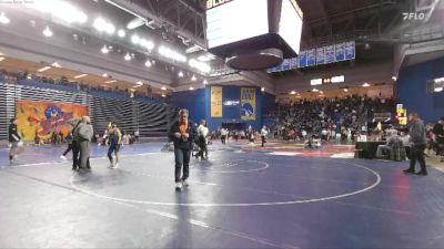 113 lbs Champ. Round 3 - Michael Santos, West Springfield vs Paden Alyea, Skyline