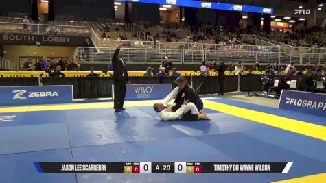 Timothy Du Wayne Wilson vs Jason Lee Scarberry 2025 Pan Jiu Jitsu IBJJF Championship