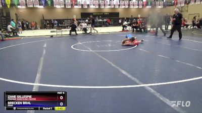 102 lbs Cons. Semi - Zane Gillespie, Premier Wrestling Center vs Brecken Bral, Iowa