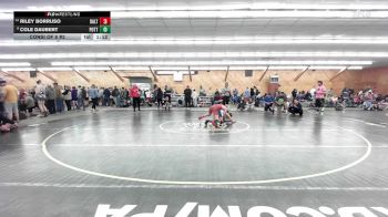 125 lbs Consi Of 8 #2 - Riley Borruso, Dalton vs Cole Daubert, Pottsville