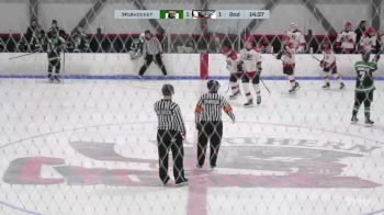 Replay: Home - 2025 SS Kings vs Cyclones | Apr 12 @ 1 PM