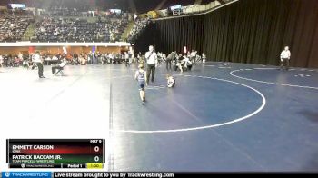 43 lbs Cons. Semi - Patrick Baccam Jr., Team Porcelli Wrestling vs Emmett Carson, Iowa