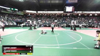 75 lbs Cons. Round 3 - Carter Lindsey, DWA vs Phoenix Wasco, BKV1