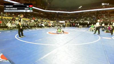 110 Class 2 lbs Cons. Round 3 - Ryah Wurman, Marquette vs Anh Ngo, North Kansas City