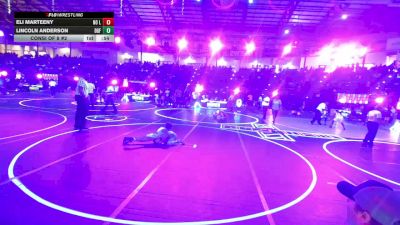 57 lbs Consi Of 8 #2 - Eli Marteeny, No Limits Wrestling Club vs Lincoln Anderson, Dgf