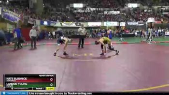 Quarterfinal - Nate Blodnick, Anaconda vs Landon Young, Poplar