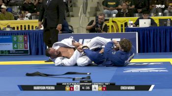 Harryson Pereira vs Erich Munis 2026 World Jiu-Jitsu IBJJF Championship