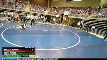 105 lbs Cons. Round 4 - Micah Woods, Virgin Valley Bulldogs vs Lincoln Hemmert, Gunnison Dusters