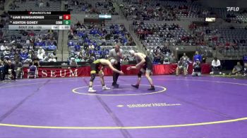 138 lbs 3rd Place Match - Liam Bumgardner, Western vs Ashton Goney, Cowan