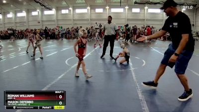 48 lbs Finals (2 Team) - Mason Defebbo, Tri State Hammers vs Roman Williams, OMP