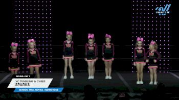 VC Tumbling & Cheer - Sparks [2025 L1 Mini - Novice - Restrictions Day 1] 2025 ASC King of the Jungle Schaumburg Showdown